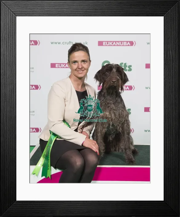 Framed Print : Crufts 2018 Framed Print : Crufts 2018