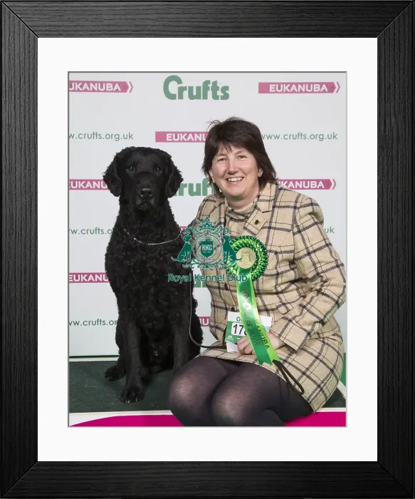 Framed Print : Crufts 2018 Framed Print : Crufts 2018