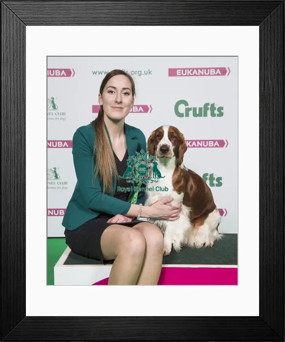 Framed Print : Crufts 2018 Framed Print : Crufts 2018