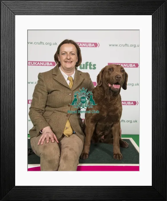 Framed Print : Crufts 2018 Framed Print : Crufts 2018