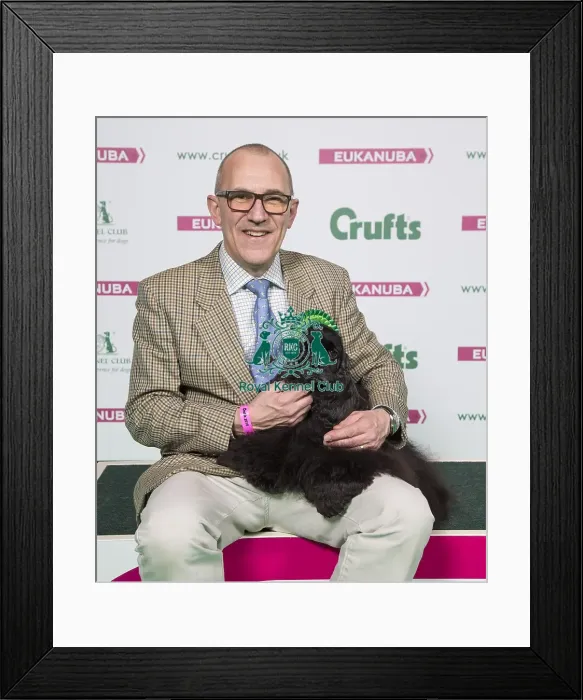Framed Print : Crufts 2018 Framed Print : Crufts 2018