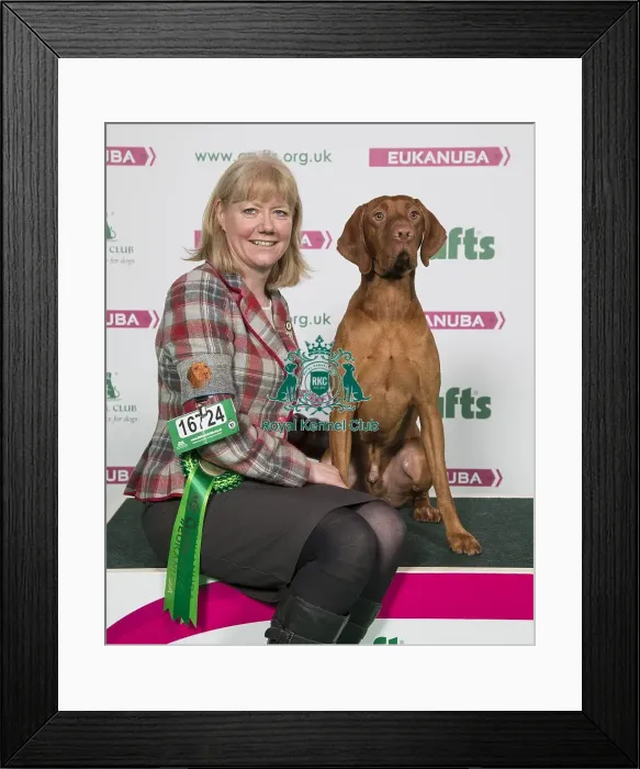 Framed Print : Crufts 2018 Framed Print : Crufts 2018