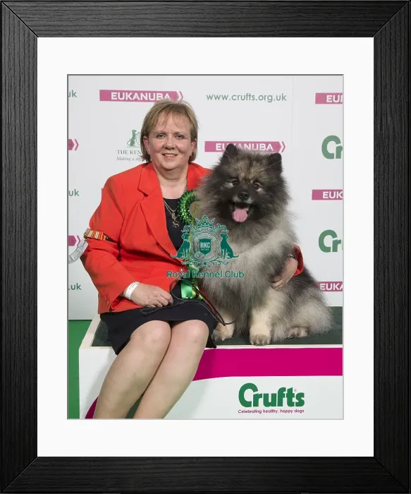Framed Print : Crufts 2018 Framed Print : Crufts 2018