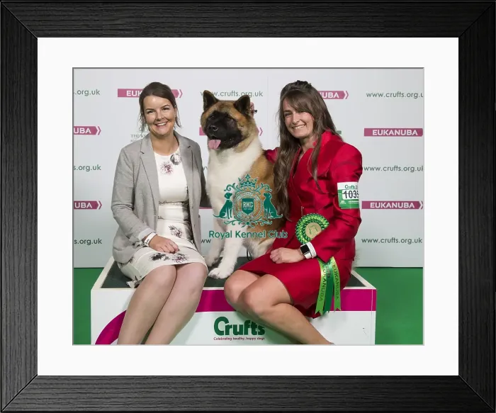 Framed Print : Crufts 2018 Framed Print : Crufts 2018
