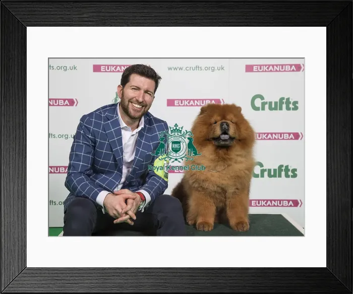 Framed Print : Crufts 2018 Framed Print : Crufts 2018