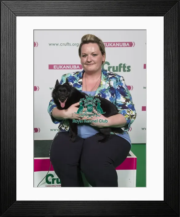 Framed Print : Crufts 2018 Framed Print : Crufts 2018