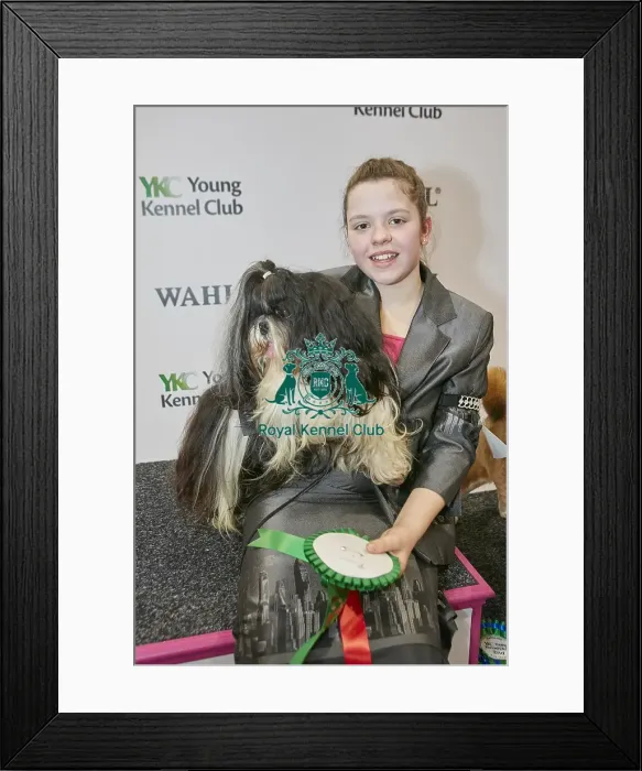 Framed Print : Crufts 2018 Framed Print : Crufts 2018