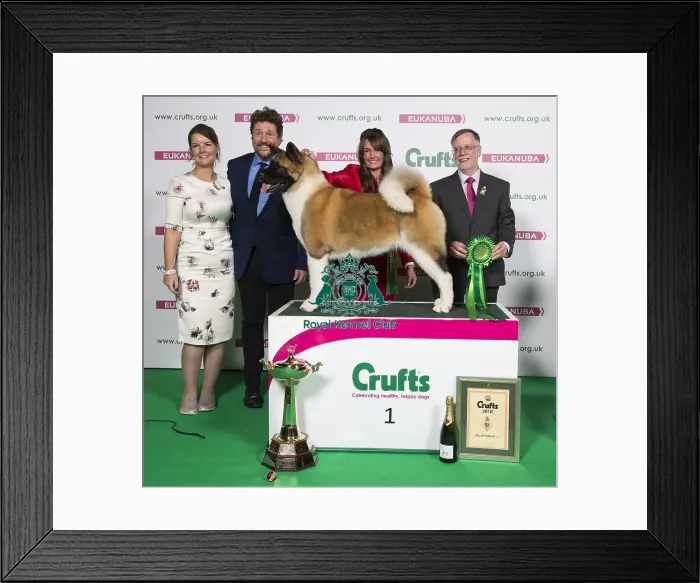 Framed Print : Crufts 2018 Framed Print : Crufts 2018