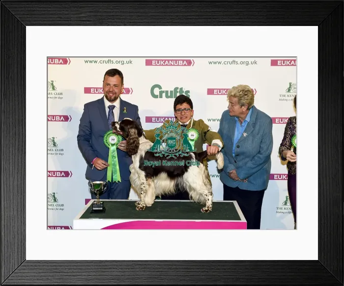 Framed Print : Crufts 2018 Framed Print : Crufts 2018