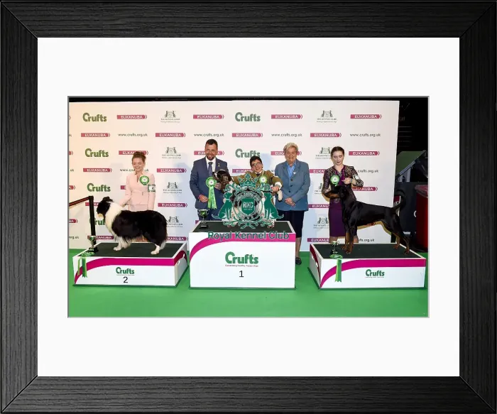 Framed Print : Crufts 2018 Framed Print : Crufts 2018