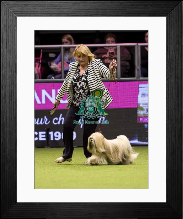 Framed Print : Crufts 2018