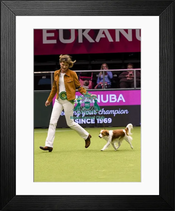 Framed Print : Crufts 2018