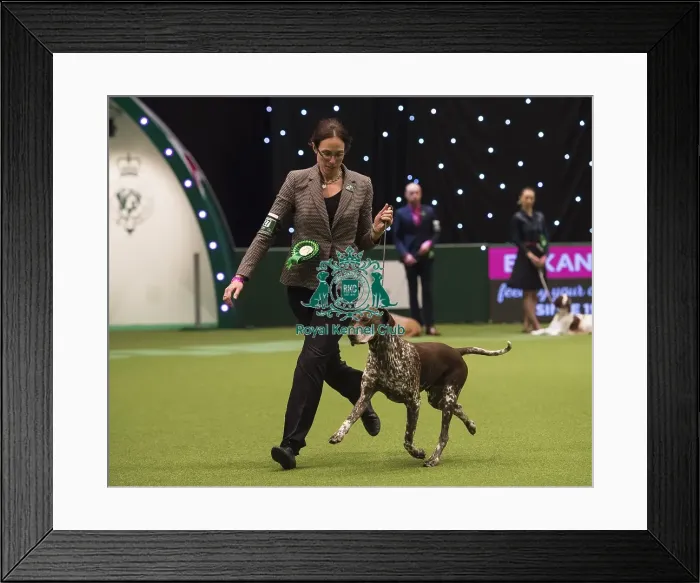 Framed Print : Crufts 2018