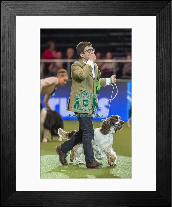 Framed Print : Crufts 2018 Framed Print : Crufts 2018