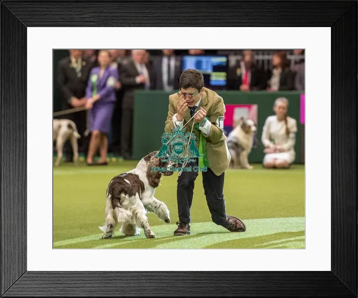 Framed Print : Crufts 2018 Framed Print : Crufts 2018