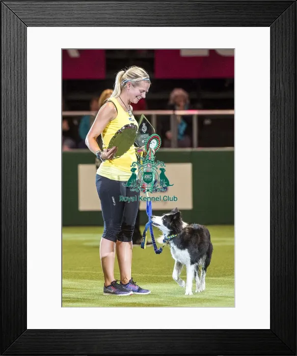 Framed Print : Crufts 2018