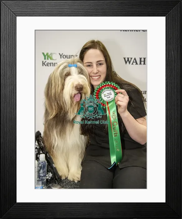 Framed Print : Crufts 2018 Framed Print : Crufts 2018