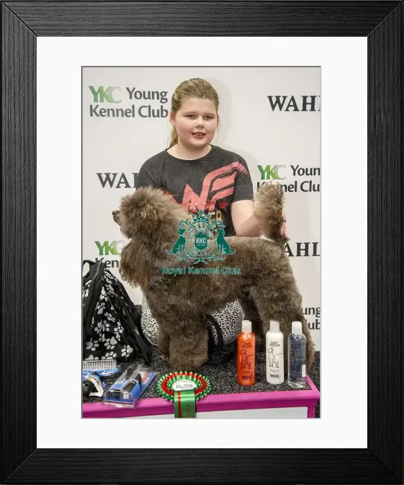 Framed Print : Crufts 2018 Framed Print : Crufts 2018