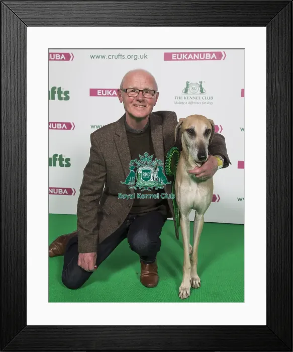 Framed Print : Crufts 2018 Framed Print : Crufts 2018
