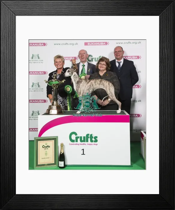 Framed Print : Crufts 2018 Framed Print : Crufts 2018
