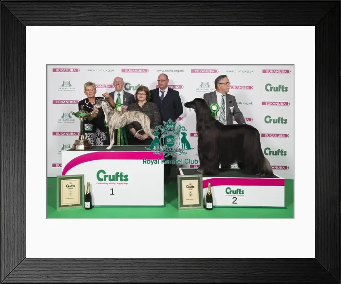 Framed Print : Crufts 2018 Framed Print : Crufts 2018