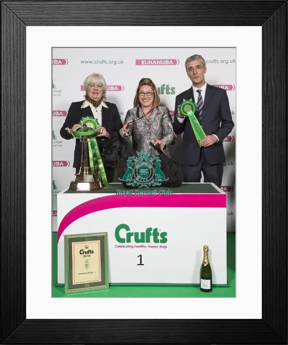 Framed Print : Crufts 2018 Framed Print : Crufts 2018