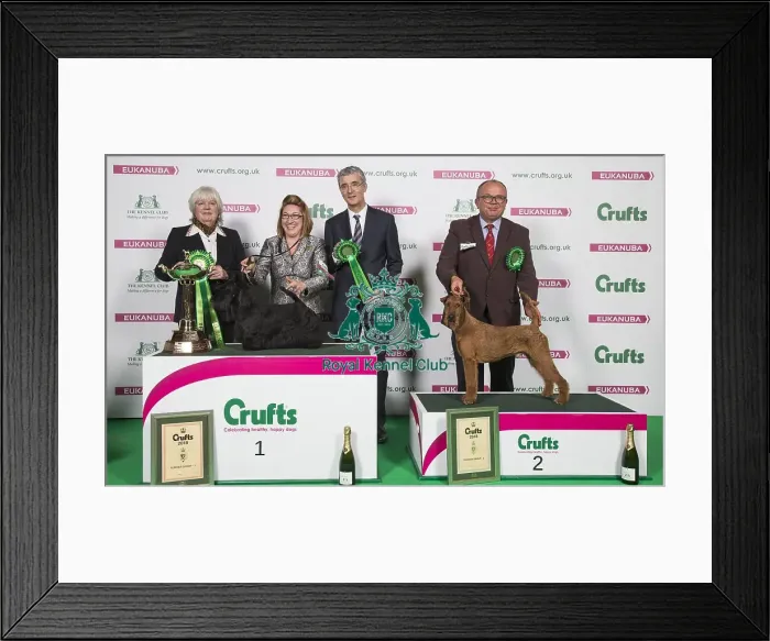 Framed Print : Crufts 2018 Framed Print : Crufts 2018