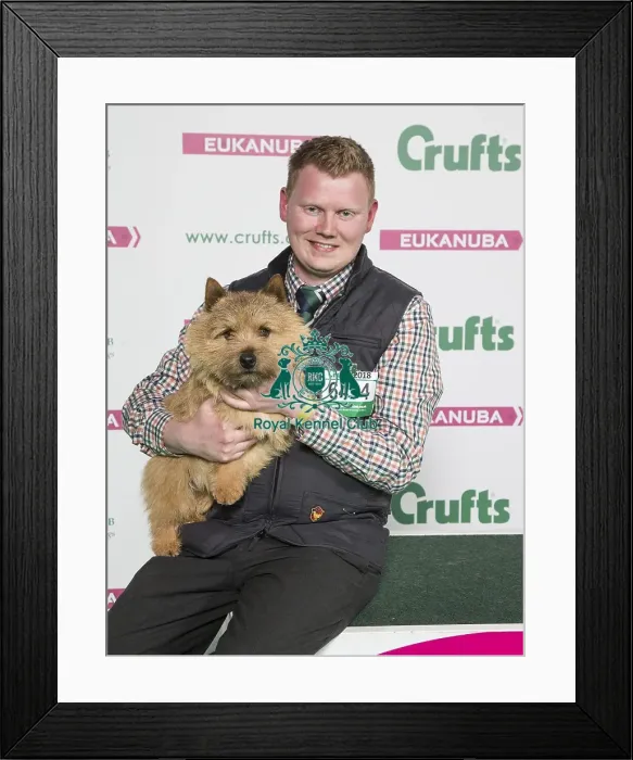 Framed Print : Crufts 2018