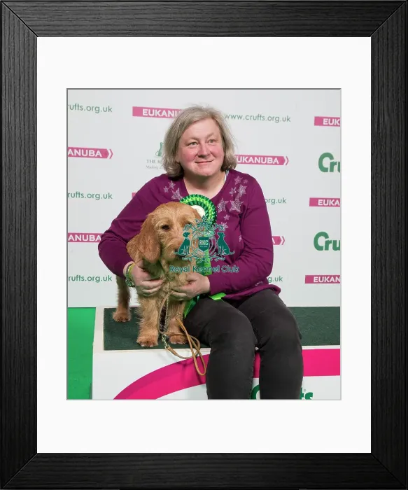 Framed Print : Crufts 2018 Framed Print : Crufts 2018