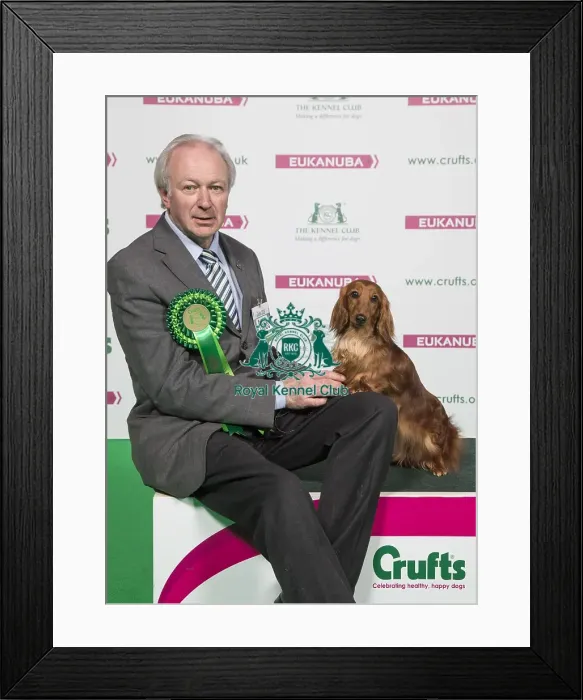 Framed Print : Crufts 2018 Framed Print : Crufts 2018
