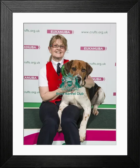 Framed Print : Crufts 2018 Framed Print : Crufts 2018