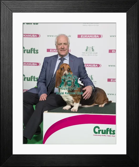 Framed Print : Crufts 2018 Framed Print : Crufts 2018
