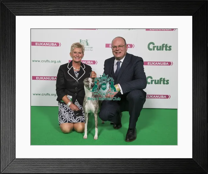 Framed Print : Crufts 2018 Framed Print : Crufts 2018