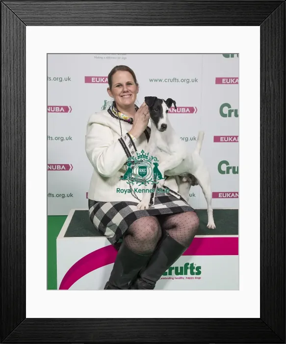 Framed Print : Crufts 2018 Framed Print : Crufts 2018