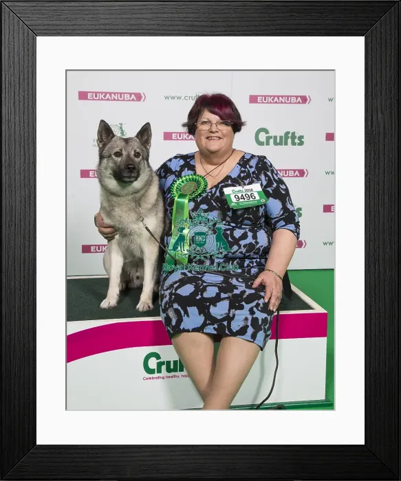 Framed Print : Crufts 2018 Framed Print : Crufts 2018