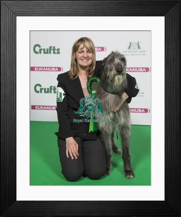 Framed Print : Crufts 2018