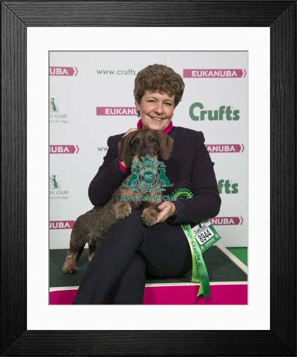 Framed Print : Crufts 2018 Framed Print : Crufts 2018