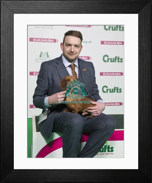 Framed Print : Crufts 2018 Framed Print : Crufts 2018