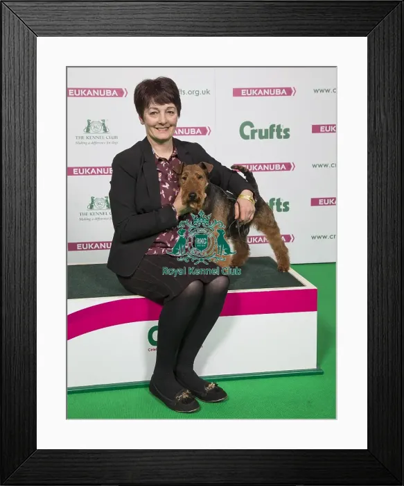 Framed Print : Crufts 2018 Framed Print : Crufts 2018