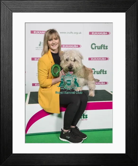 Framed Print : Crufts 2018 Framed Print : Crufts 2018