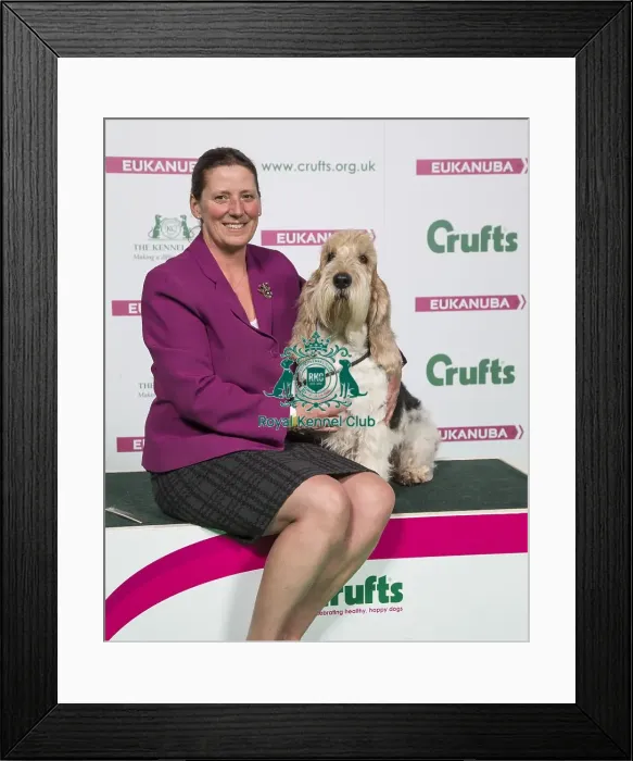 Framed Print : Crufts 2018 Framed Print : Crufts 2018