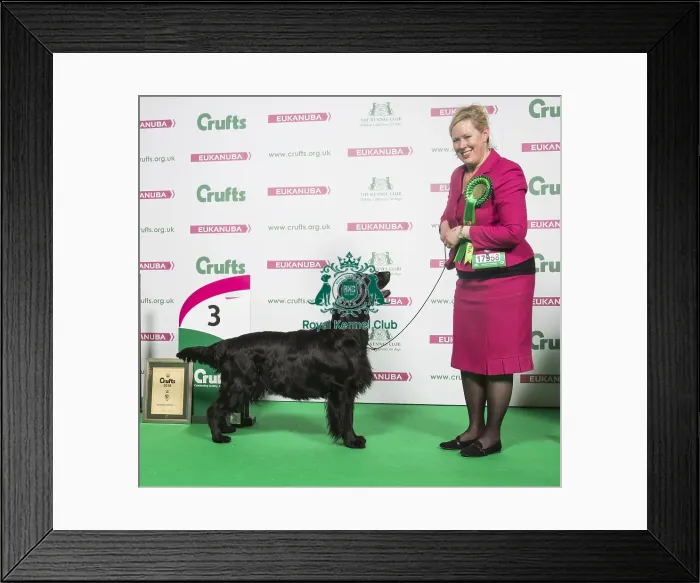 Framed Print : Crufts 2018 Framed Print : Crufts 2018