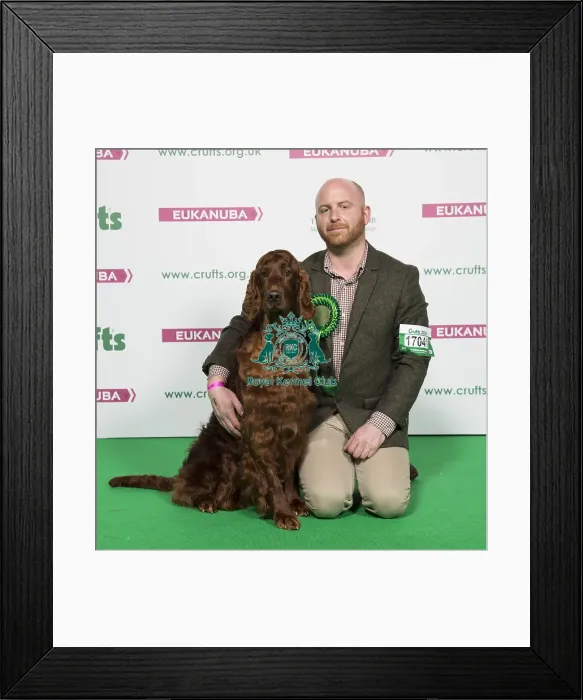 Framed Print : Crufts 2018 Framed Print : Crufts 2018