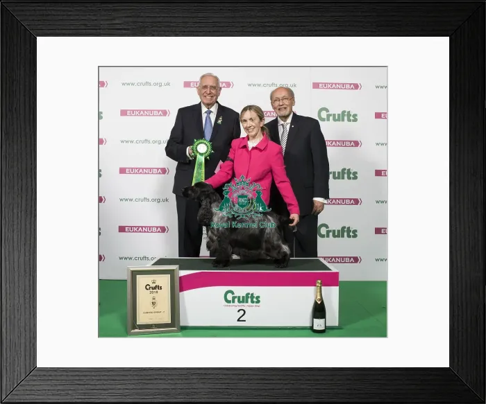 Framed Print : Crufts 2018 Framed Print : Crufts 2018