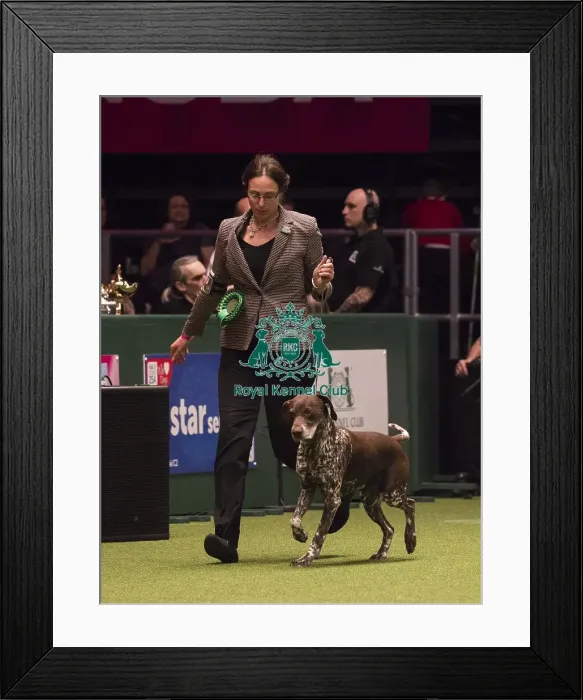 Framed Print : Crufts 2018 Framed Print : Crufts 2018