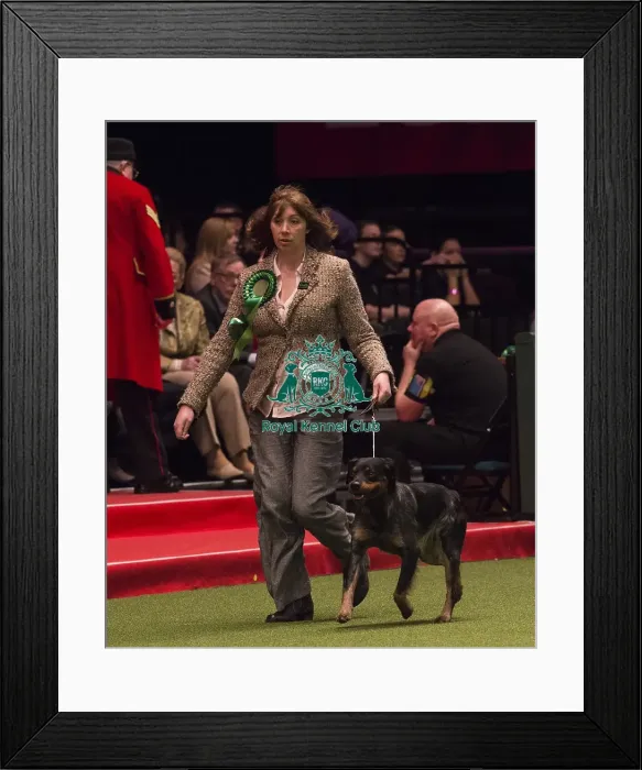 Framed Print : Crufts 2018 Framed Print : Crufts 2018