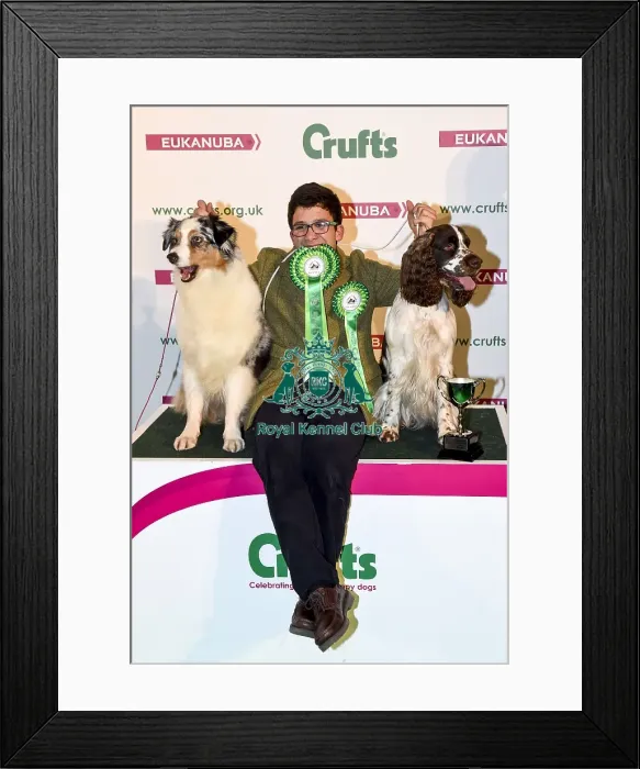 Framed Print : Crufts 2018 Framed Print : Crufts 2018