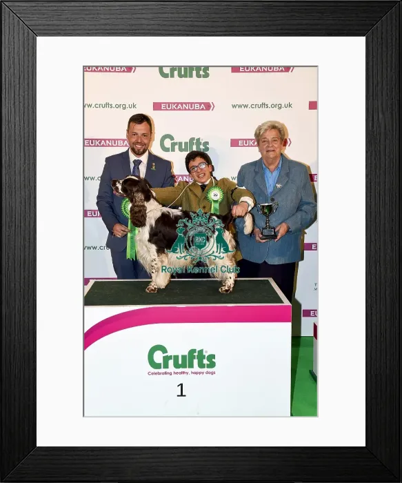 Framed Print : Crufts 2018 Framed Print : Crufts 2018