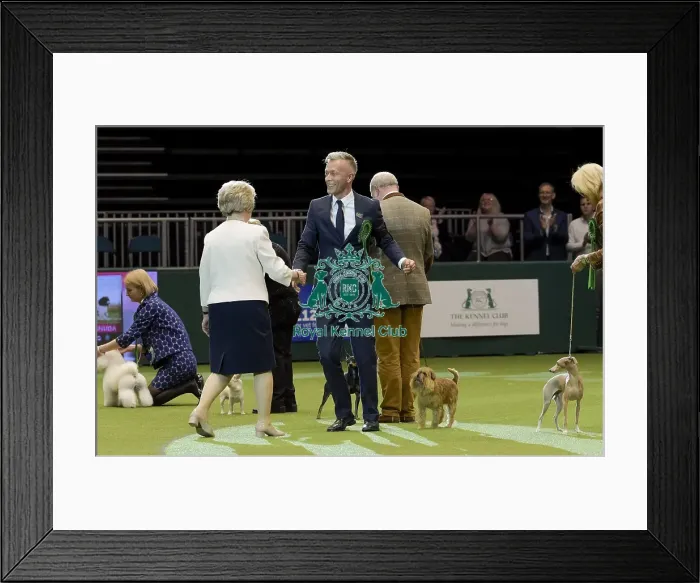Framed Print : Crufts 2018