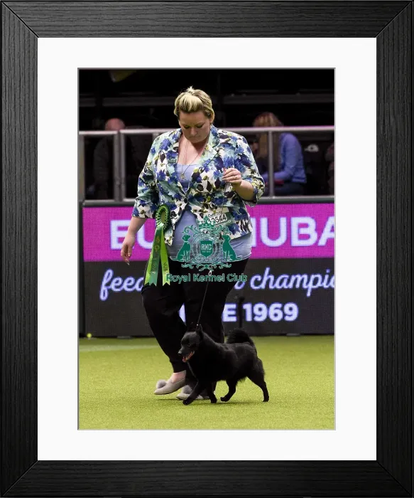 Framed Print : Crufts 2018 Framed Print : Crufts 2018